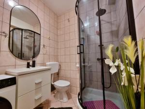 Kúpeľňa v ubytovaní Apartment Lada + 37 fotografií