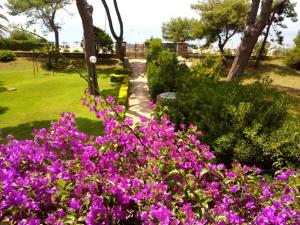Jardí fora de Villa Luisa B&B