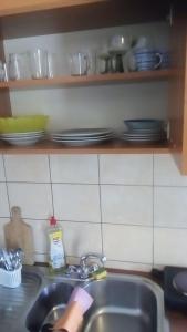 - un comptoir de cuisine avec évier et assiettes sur une étagère dans l'établissement ANIA, à Kamienna Góra