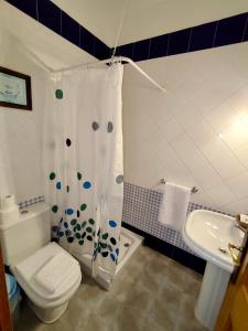 a bathroom with a shower and a toilet and a sink at Villas Rodríguez in Playa Blanca