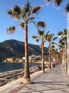 une promenade bordée de palmiers sur une plage dans l'établissement Albiretes, à Albir