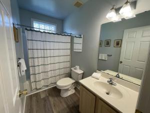 a bathroom with a sink and a toilet and a mirror at Ski Boots N Bathing Suits in McHenry +36 photos