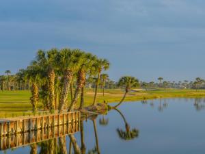 a reflection of palm trees in the water at White Heron Beach House in Ponte Vedra +34 photos