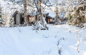 une cabane en rondins dans la neige avec des arbres dans l'établissement 3 Bedroom Amazing Home In Gol, à Gol