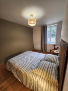 Schlafzimmer mit einem Bett, einem Fenster und einem Kronleuchter in der Unterkunft Le Nid'Ainay Maison de Village entièrement rénovée in Ainay-le-Vieil