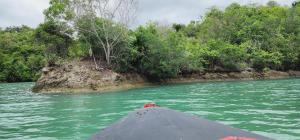 een uitzicht vanaf de achterkant van een boot in een rivier bij Camping club apwisindo chandra in Kema