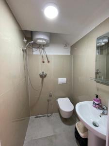 W łazience znajduje się prysznic, toaleta i umywalka. w obiekcie BUJTINA IZET SELIMAj w mieście Valbonë