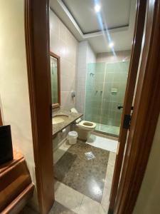 La salle de bains est pourvue de toilettes et d'une douche en verre. dans l'établissement Megara, à Rio de Janeiro
