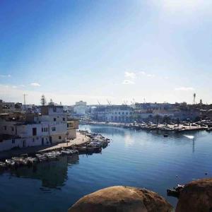 比塞大的住宿－Dar Sandra Bizerte，享有海港和水中船只的景色