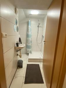 ein kleines Badezimmer mit Dusche und Waschbecken in der Unterkunft Gästewohnung in Günzburg in Günzburg