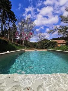 a large swimming pool with blue water and trees at Les IRIS des Rieux in Sallelles