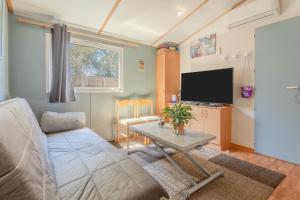 uma sala de estar com um sofá e uma mesa em Logement camping Oasis em Puget-sur Argens