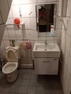 y baño con aseo, lavabo y espejo. en 金富有民宿, en Chishang