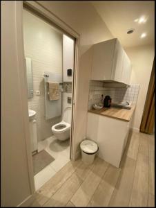 uma pequena casa de banho com WC e lavatório em Studio cosy refait à neuf em Le Raincy