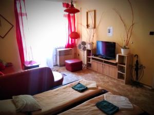 - un salon avec un canapé et une télévision dans l'établissement Calm&Sweet Budapest Apartment, à Budapest