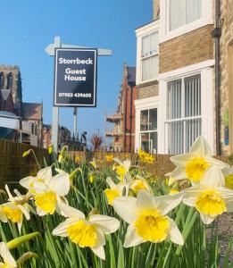 a bunch of yellow and white flowers in front of a sign at Storrbeck Guest House in Whitby