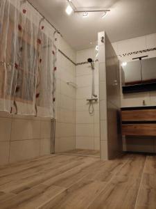 a bathroom with a shower and a shower curtain at Romantiksuite bei Seitberger in Frauenberg