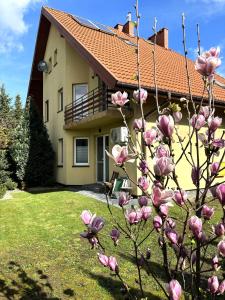 una magnolia frente a una casa en Dunajec Home 