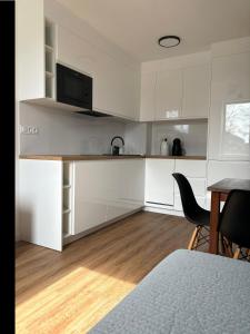 Η κουζίνα ή μικρή κουζίνα στο Olo Apartment