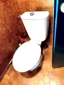 a bathroom with a white toilet in a room at Maison charmante à Vielle-Saint-Girons avec vue sur le lac. in Vielle-Saint-Girons +4 photos