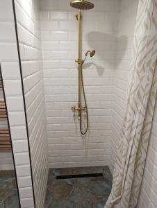 y baño con cabina de ducha y cortina de ducha. en Classic Deluxe Tapolca, en Tapolca