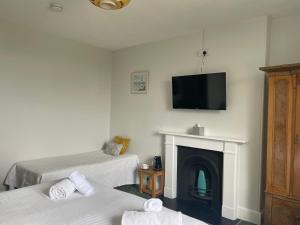 a room with two beds and a fireplace with a flat screen tv at Trevanger Farm Bed and Breakfast in Wadebridge