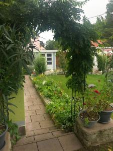 einen Garten mit Pflanzen in Töpfen und Gehwegen in der Unterkunft Fewo Linda 2 in Gunzenhausen