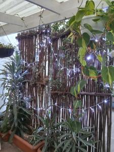 a bunch of plants in a room with lights at Kings and Kent in Cape Town