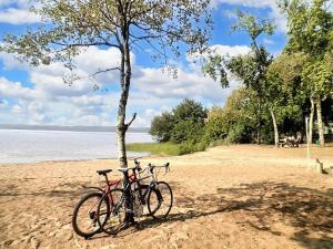 deux vélos garés à côté d'un arbre sur une plage dans l'établissement Maison de 3 chambres avec jardin clos et wifi a Vielle Saint Girons, à Vielle-Saint-Girons