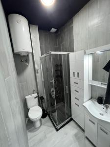 un bagno con doccia, WC e lavandino di Diamond Hostel a Divčibare
