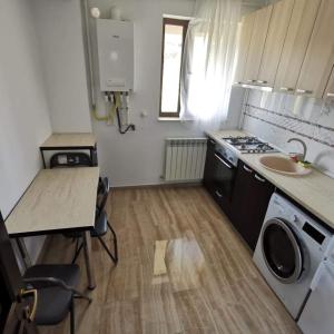 uma pequena cozinha com um lavatório e um fogão em Sweet Home Iasi Airport 2 em Iaşi