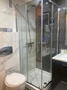 a bathroom with a shower with a toilet and a sink at Apartamento tipo Loft in Madrid +15 photos