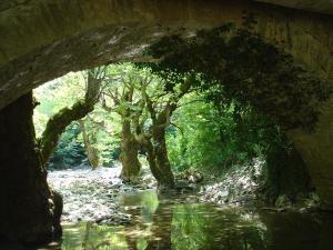 a stone bridge over a river with trees in the background at The Lake's House in Kryonérion