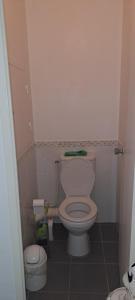 uma casa de banho com WC num pequeno quarto em apparemment T1 em Tarbes