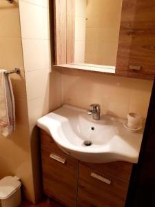 een badkamer met een wastafel en een spiegel bij Casa Dolce Presena in Passo del Tonale