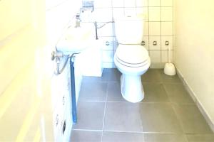łazienka z toaletą i umywalką w obiekcie Maison enchanteresse à Ingersheim avec vue sur la montagne w mieście Ingersheim +13 zdjęć