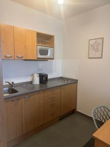 Kuchyň nebo kuchyňský kout v ubytování Apartmány KiRi