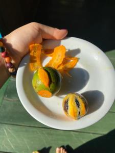 uma pessoa segurando um prato com frutas sobre ele em POUSADA DA DRI LODGE em Iranduba