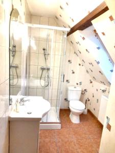 łazienka z prysznicem, toaletą i umywalką w obiekcie Maison spacieuse à Ingersheim avec vue sur la montagne w mieście Ingersheim +14 zdjęć