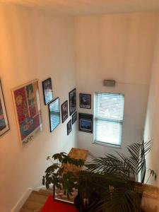 a room with a plant and pictures on the wall at 2 Bed Apt with air con - 10min to Canonbury Station in London