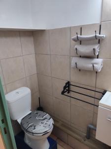 a bathroom with a toilet and towels at Studio in Saint-Loubès +4 photos