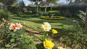 a garden with yellow and white flowers in a yard at Royal Ridge Guesthouse in Pretoria