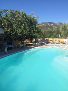 a large blue swimming pool with chairs and trees at Apollo in Mattinata