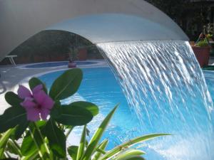 una fuente de agua junto a una piscina con una flor púrpura en Apollo, en Mattinata