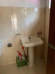 a bathroom with a sink and a shower at Cinnamon Villa AMBA in Ambalangoda