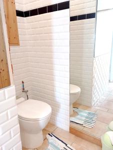 ein Badezimmer mit einer weißen Toilette in einem Zimmer in der Unterkunft Charmant appartement avec jardin et piscine à La Jarrie in La Jarrie