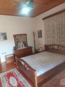 扎哈羅的住宿－Giorgos litsa VILLA，一间卧室配有一张床和吊扇