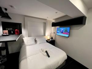 Televiisor ja/või meelelahutuskeskus majutusasutuses St Michel studio