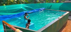Deux garçons jouent dans une piscine dans l'établissement Kuttickattil Gardens Homestay, à Kottayam