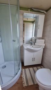 A bathroom at Camping Dal Pino